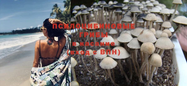 амф Инта