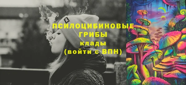 спиды Каменск-Шахтинский