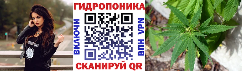 OMG ссылка  Костомукша  Марихуана OG Kush  где купить наркоту 